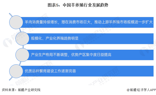 羊流最新信息，探索未来趋势与发展前景