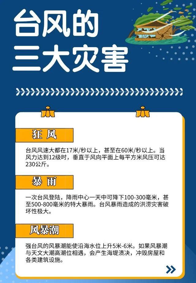 今日台风最新预警，如何应对与防范台风带来的风险