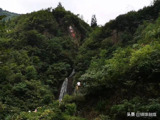 习水最新新闻报道