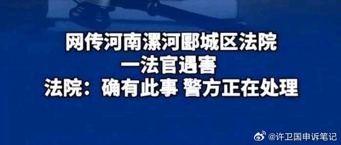 河南最新案件深度解析