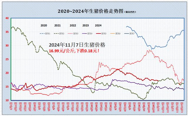 最新猪价走势分析