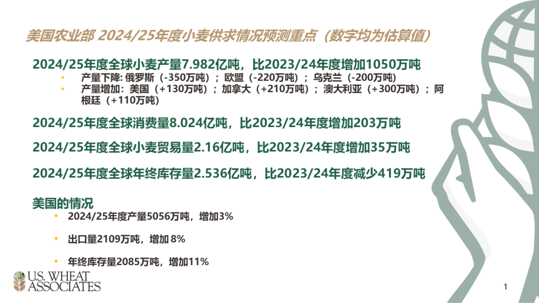 全球蝗灾情况最新报告