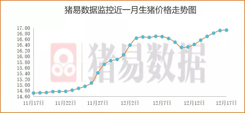 今日肥猪价格最新动态分析