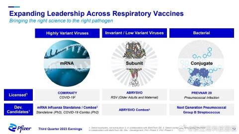 最新辉瑞疫苗消息，进展、效果与未来展望