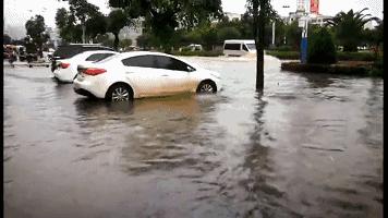 云南最新暴雨数据，暴雨影响及应对措施