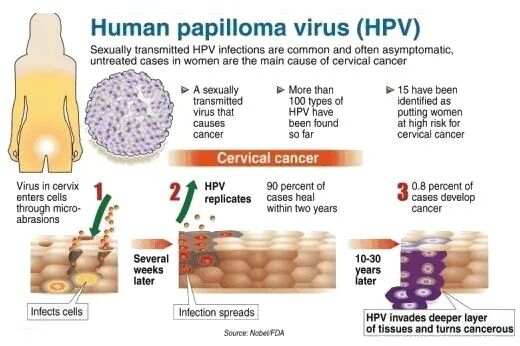 HPV最新分型，深入理解人乳头瘤病毒及其演变