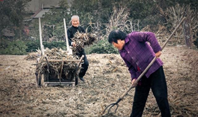 最新催钱视频，揭示现代金融背后的秘密